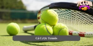 cá cược tennis