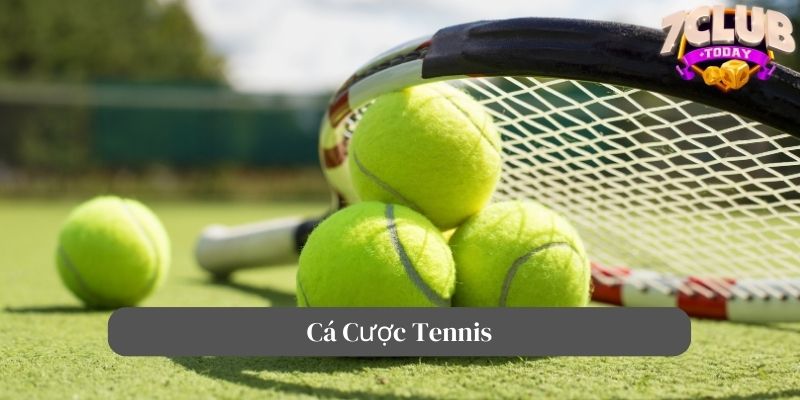 cá cược tennis
